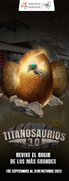 b-ti