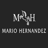 MARIO HERNANDEZ